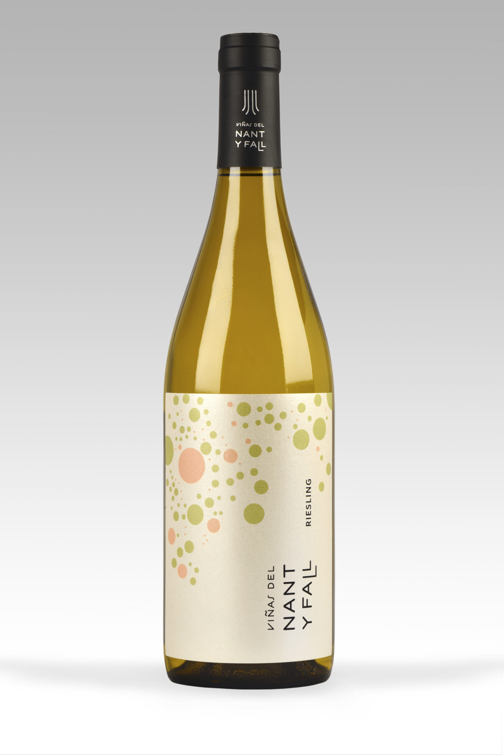 Riesling - Viñas del Nant y Fall