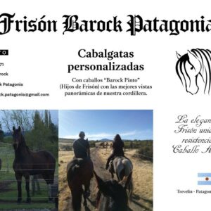 Cabalgatas de 1hr – Frisón Barock – REALIZA TU CONSULTA