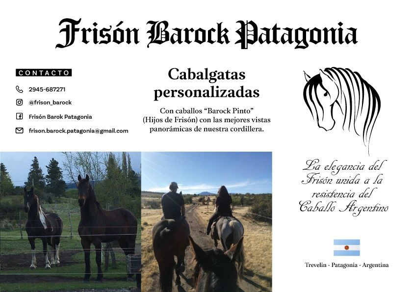 Cabalgatas de 1hr - Frisón Barock - REALIZA TU CONSULTA