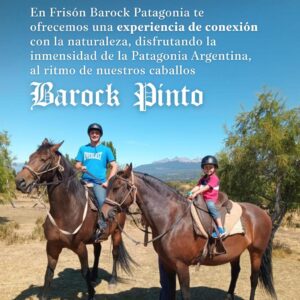 Cabalgatas de 1hr y 30min – Frisón Barock – REALIZA TU CONSULTA