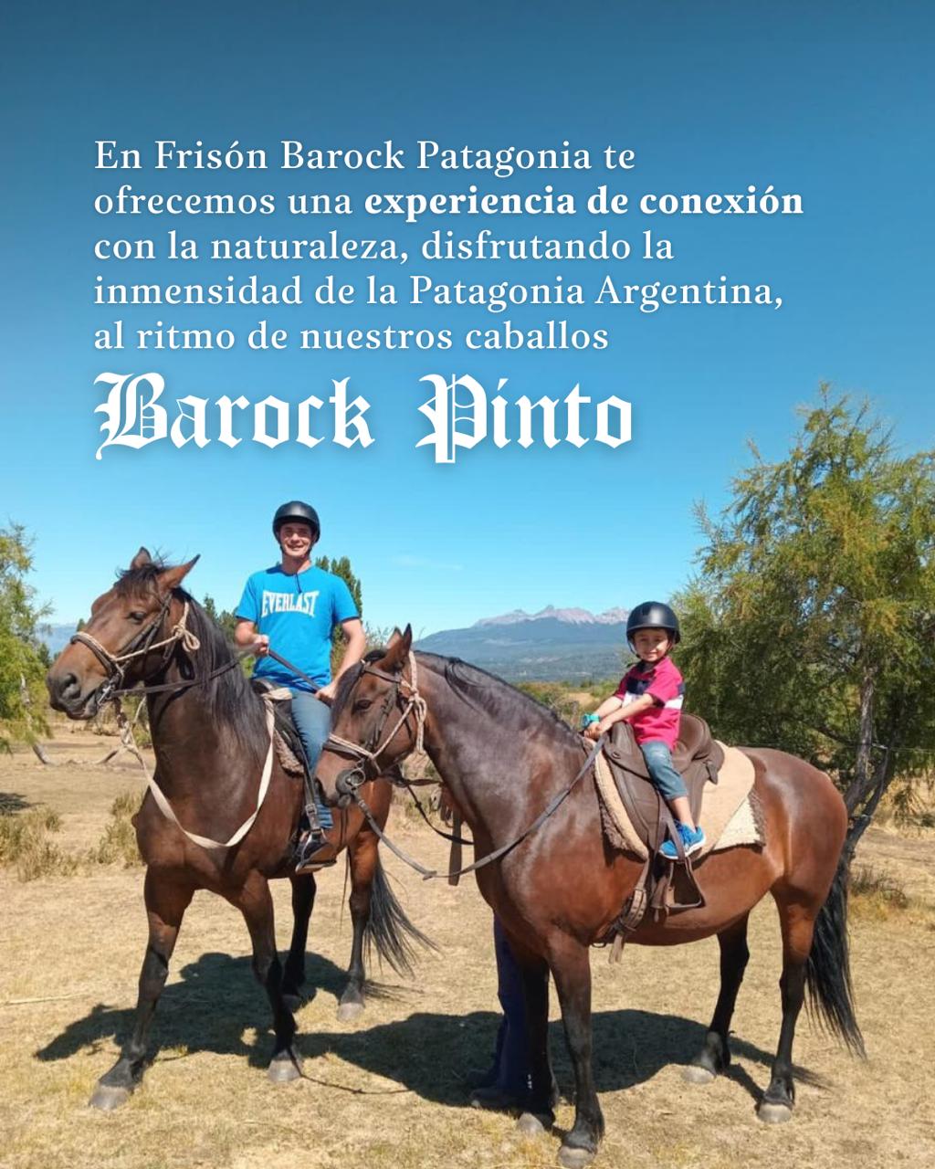 Cabalgatas de 1hr y 30min - Frisón Barock - REALIZA TU CONSULTA