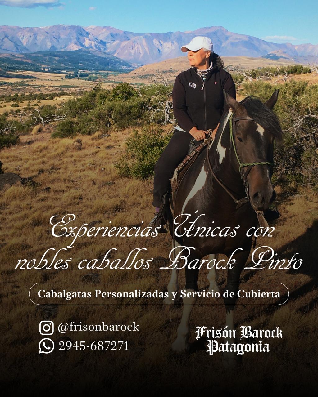 Cabalgatas de 1hr y 30min - Frisón Barock - REALIZA TU CONSULTA - Image 2