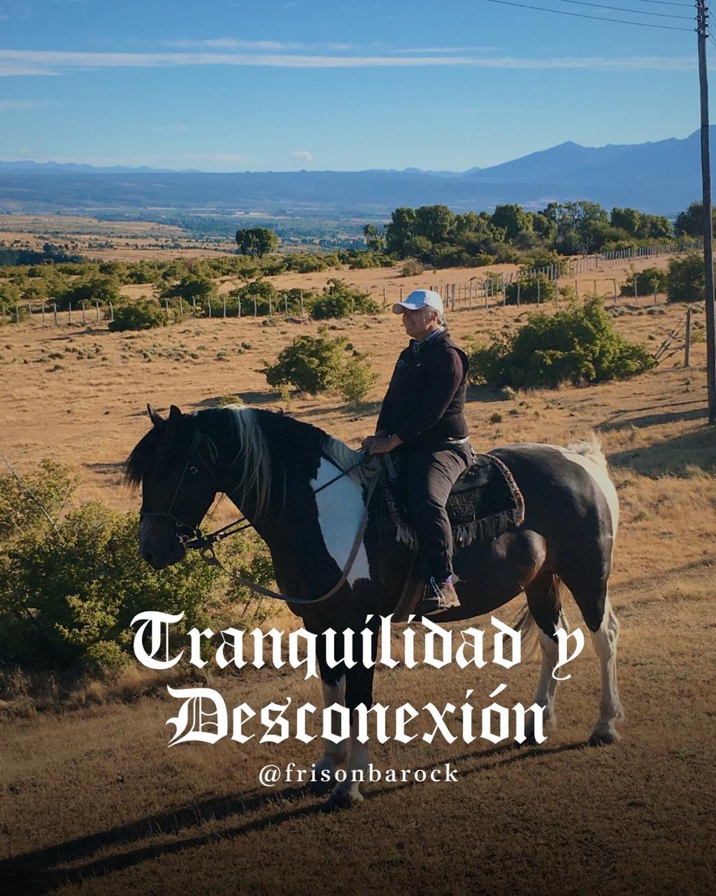Cabalgatas de 30min - Frisón Barock - REALIZA TU CONSULTA - Image 2