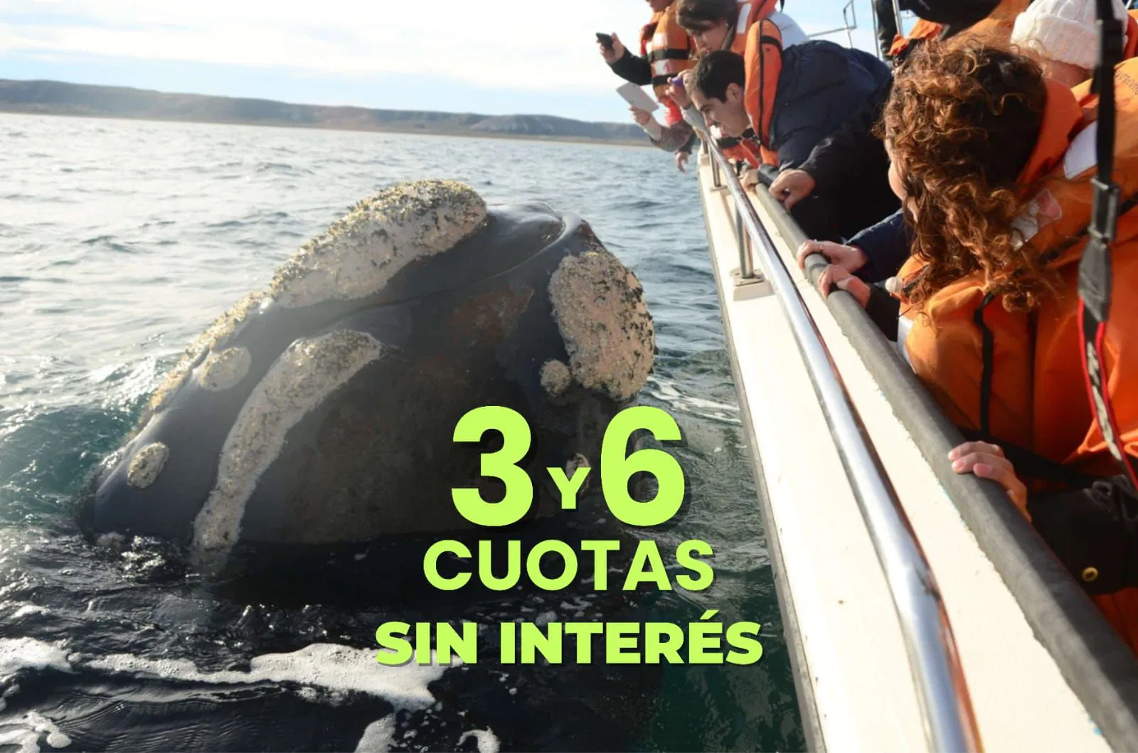 Avistaje de Ballenas Embarcado