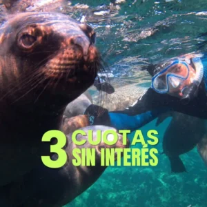 Snorkel con lobos marinos