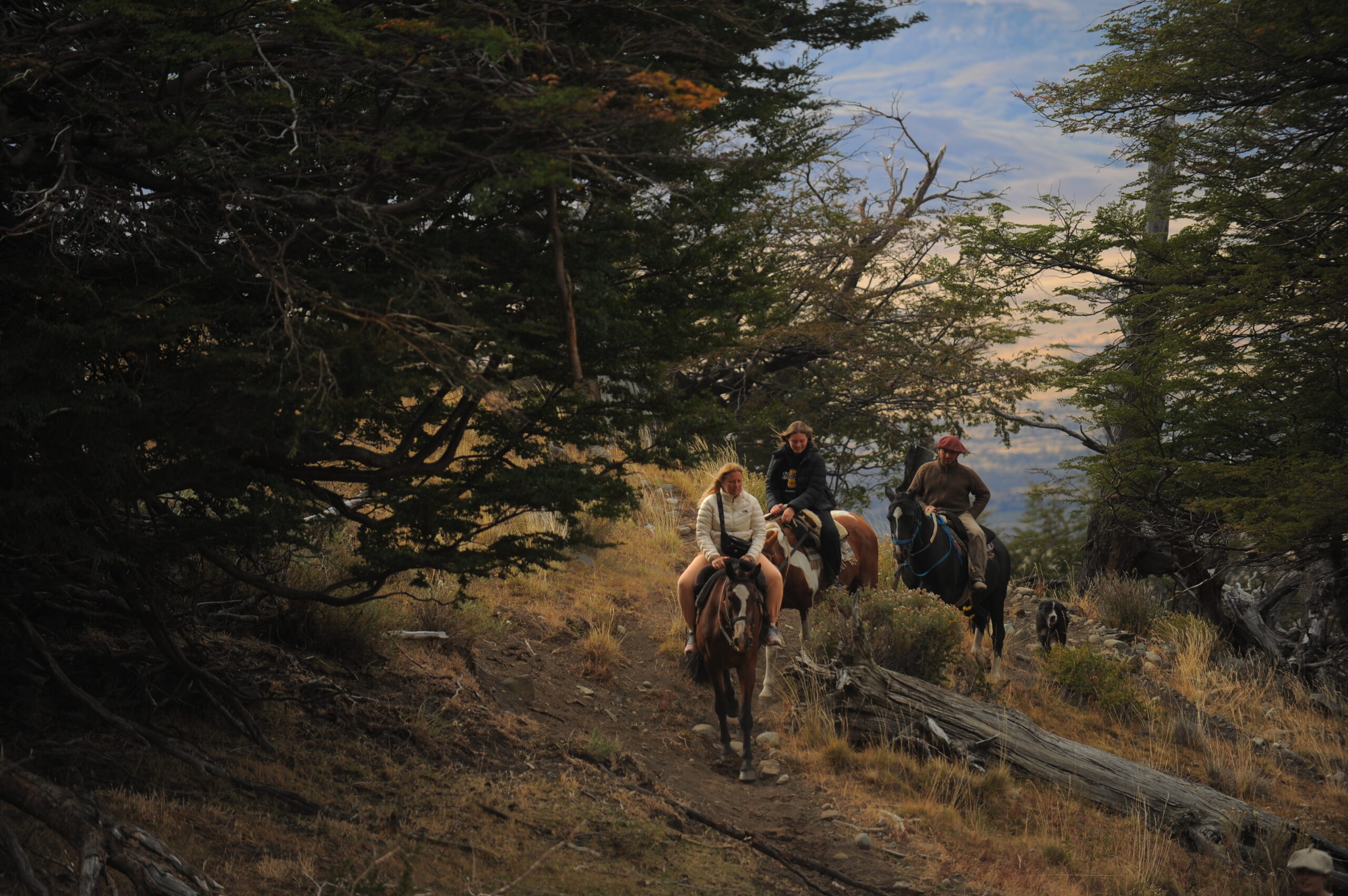 Cabalgatas Aventura en Cerro Frias - El Calafate - Santa Cruz - Image 3