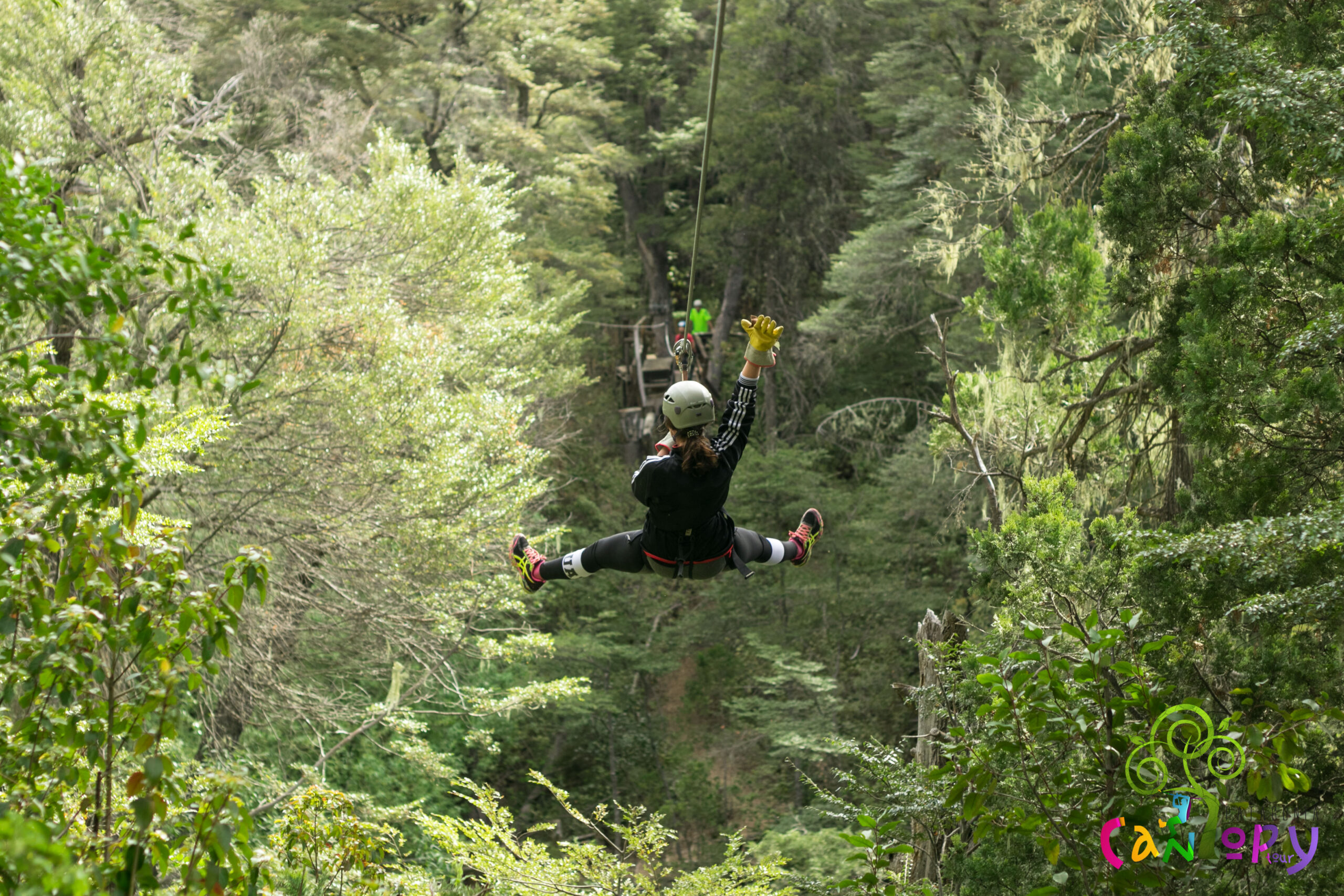 🌳 Circuito de Canopy p/ Adultos - El Bolsón - Image 4