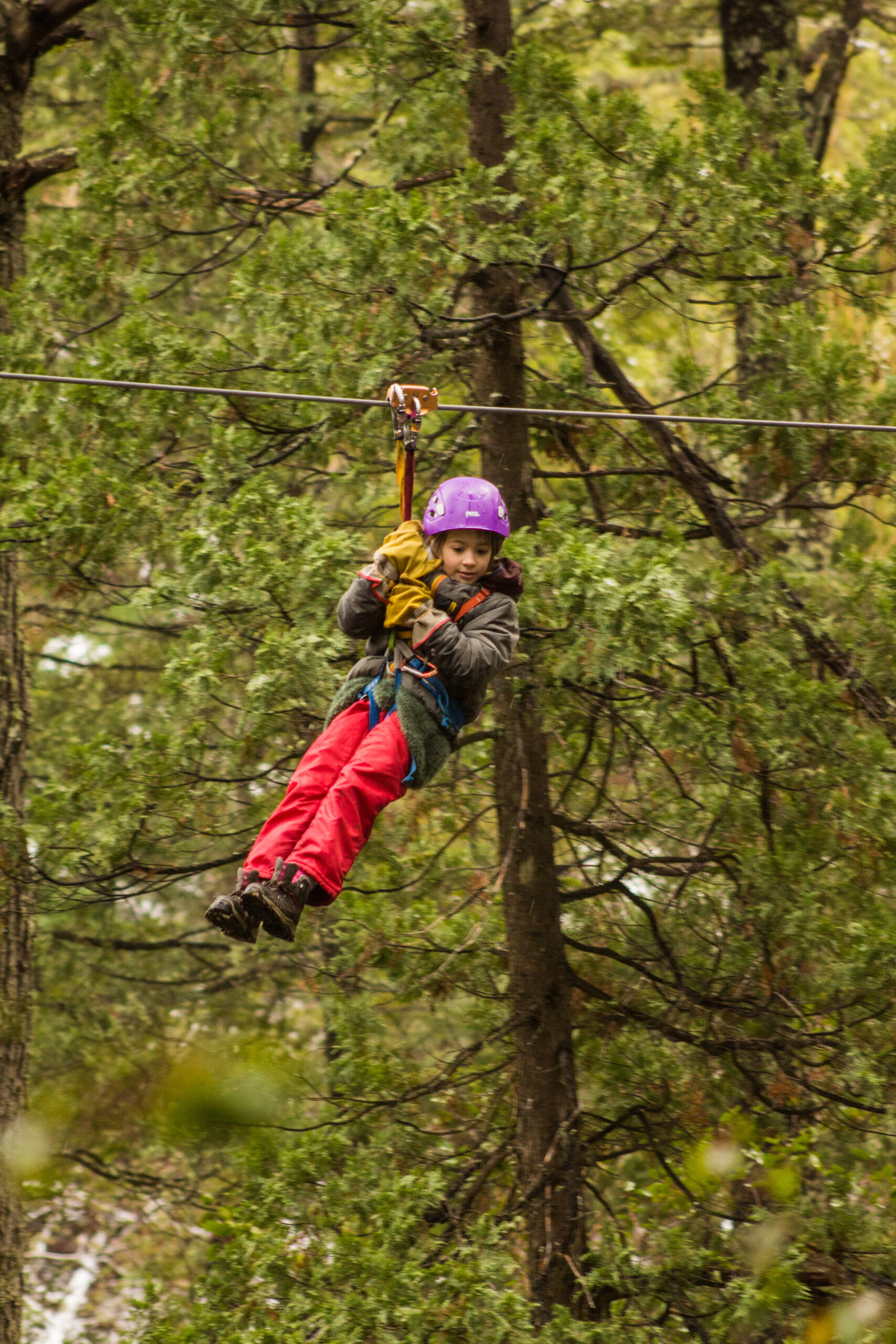 🧸 Circuito de Canopy p/ Niños - El Bolsón - Image 2