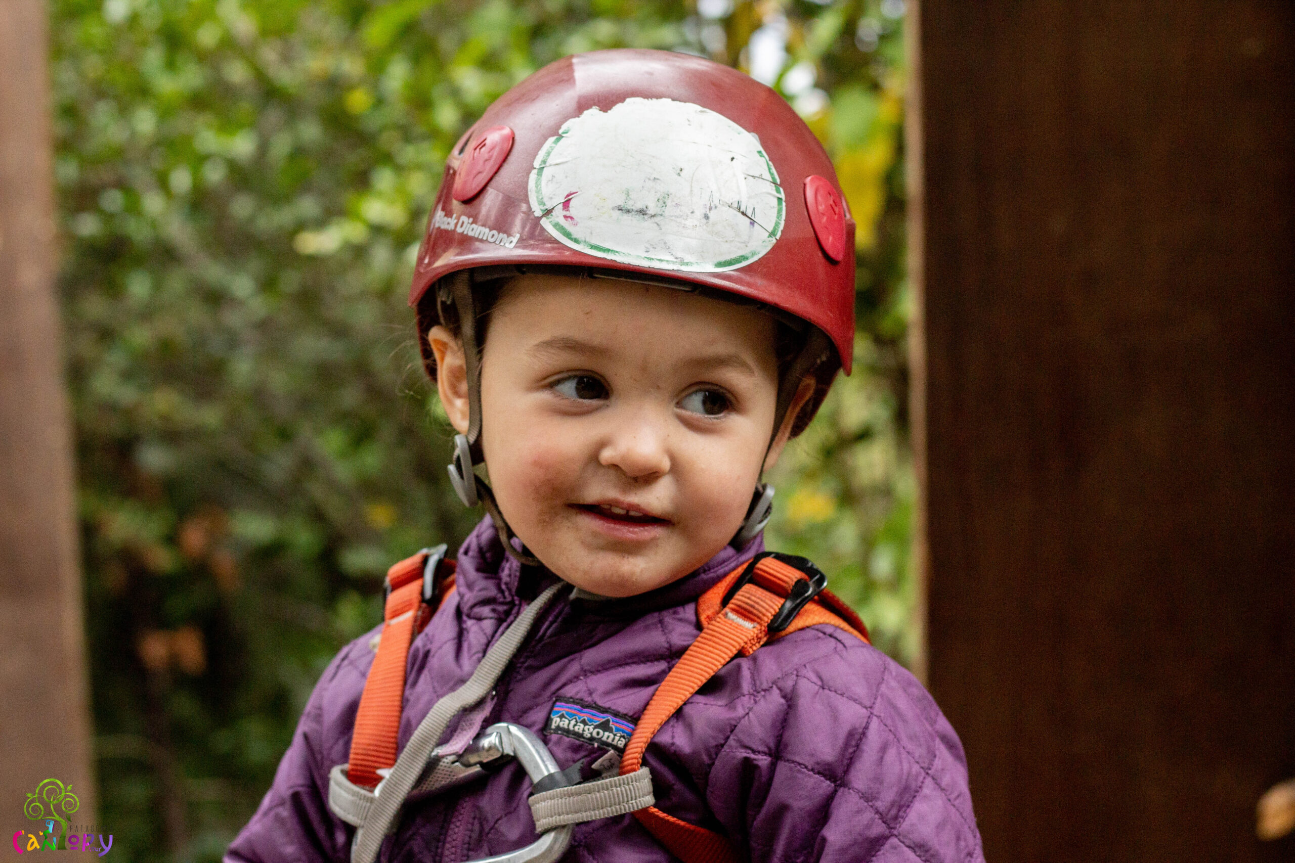 🧸 Circuito de Canopy p/ Niños - El Bolsón - Image 3